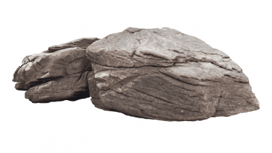 Rock