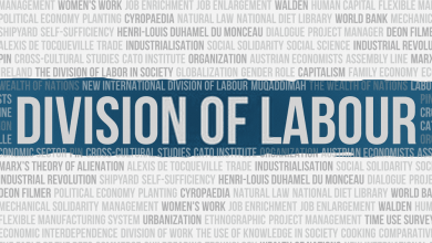 division of labour
