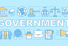 government